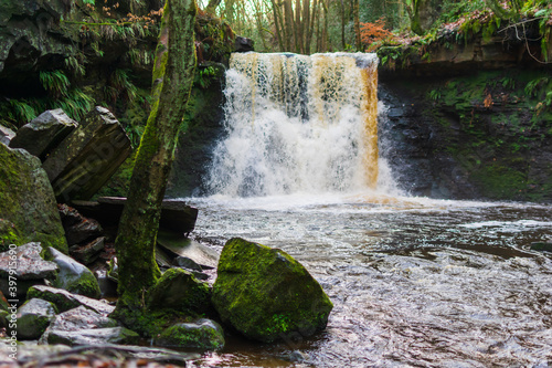 waterfall in the forest photo