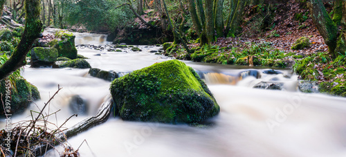 water flowing in the forest photo