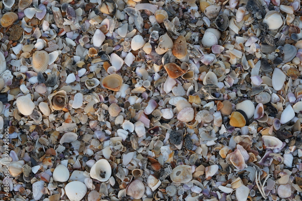 pebbles on the beach pebbles on the beach