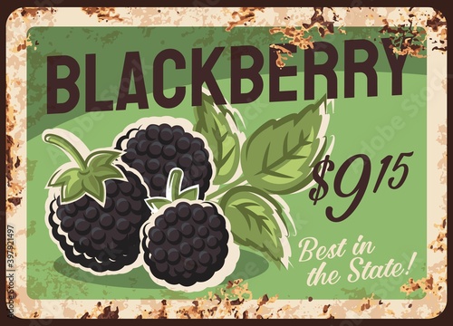 Blackberry rusty metal plate, vector vintage rust tin sign with ripe sweet berries, price tag for retail. Orchard organic production retro poster or shop ad promo, ferruginous label for farm market