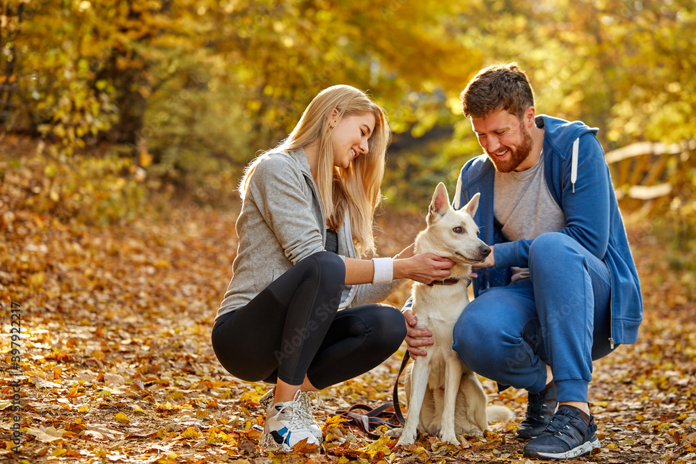 Fototapeta premium couple enjoy time with dog in the autumn forest, happy man and woman are friends with nice dog, during fall outdoors