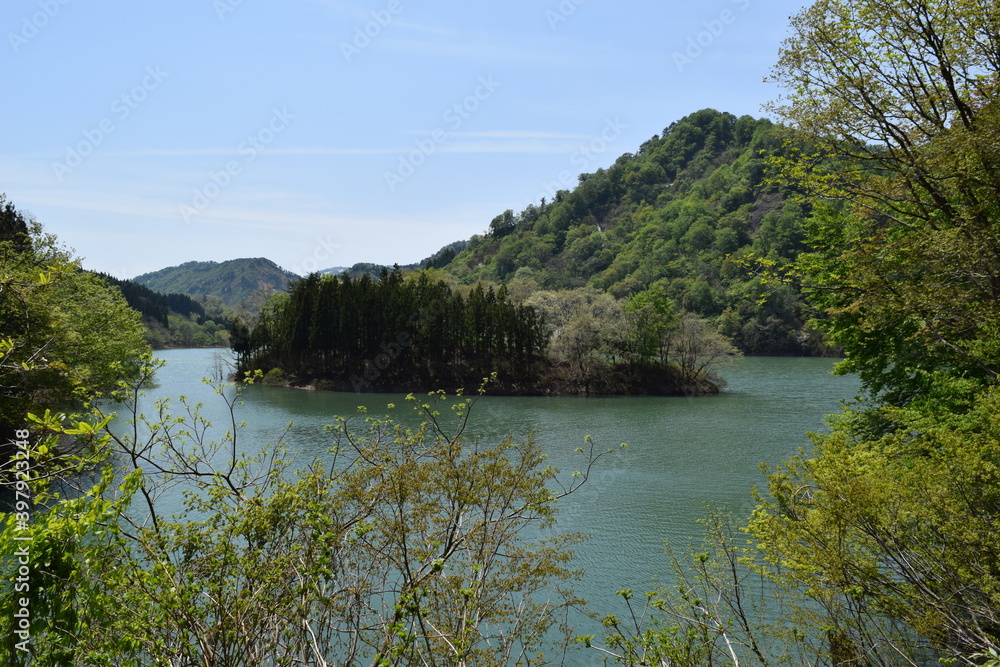 Fototapeta premium 荒沢ダム 県内最大規模 ／ 山形県にある荒沢ダムは、朝日連峰・以東岳にその源を発し、日本海に注ぐ一級河川・赤川の上流に位置しています。総貯水容量は県内最大規模で、洪水調節及びかんがい用水、水力発電に貢献しています。このダムの建設により、荒沢集落42戸200余名の移転、水田、畑、山林等1.89平方キロメートルが水没しました。埋没林は独特の景観を創り出しています。