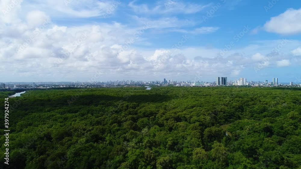 Recife, Pernambuco, parque dos manguezais, Mangrove Park Recife, Pernambuco, parque dos manguezais, Mangrove Park