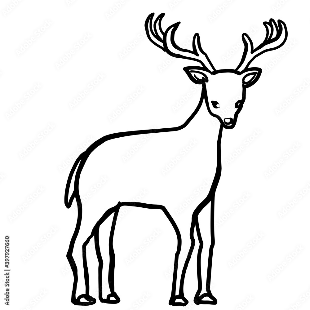 Obraz premium Simple deer line art illustration