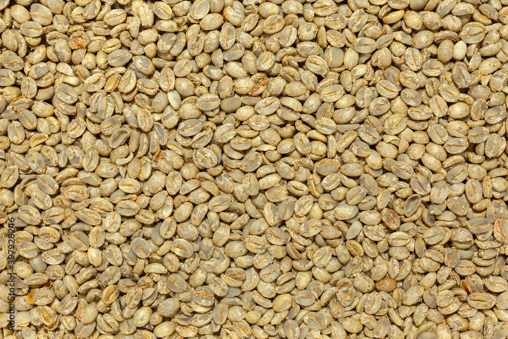 Unroasted artesanal gourmet coffee beans pattern Unroasted artesanal gourmet coffee beans pattern