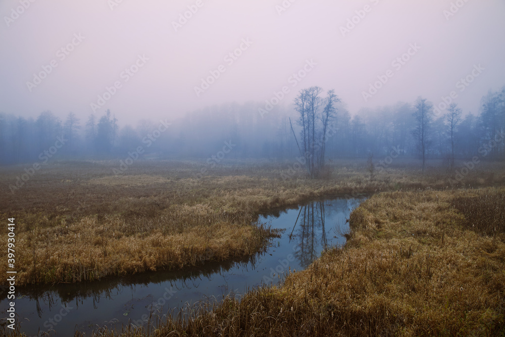 Misty landscape with the river.