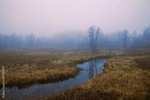 Misty landscape with the river.