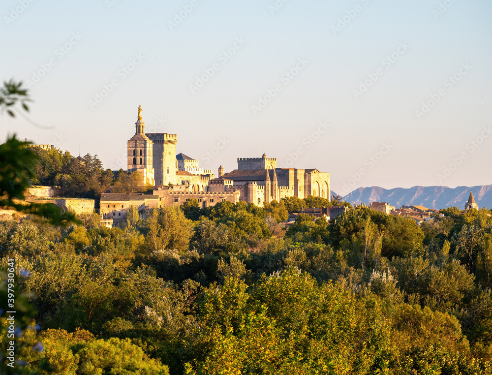 Panoramic view on old walls and palace of popes in ancient city Avignon, South of France Panoramic view on old walls and palace of popes in ancient city Avignon, South of France