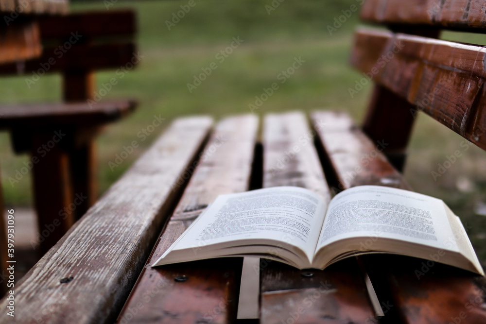 Fototapeta premium Open book on an empty wooden bench in a park on an autumn day. Copy space for design or text