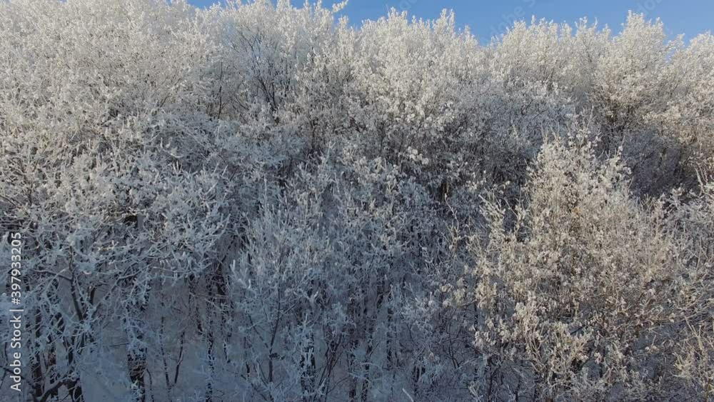 Aerial view of snow covered trees winter landscape. Drone moving over beautifull snowy trees, snow covered forest winter landscape. Aerial view of snow covered trees winter landscape. Drone moving over beautifull snowy trees, snow covered forest winter landscape.