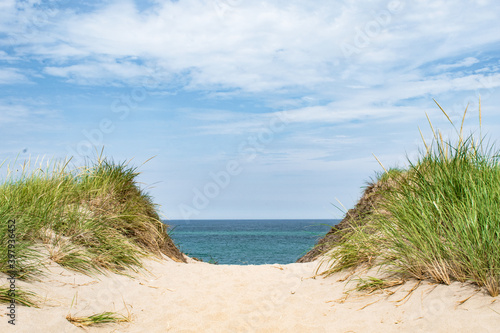 Sand dunes framing view of ocean on the National Seashore in Provincetown, Cape Cod, massachusetts photo