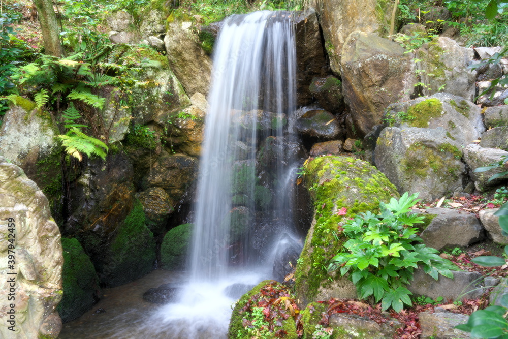 Fototapeta premium Kyoto,Japan-November 24, 2020: (Soft Focus) Small waterfall flowing in autumn 