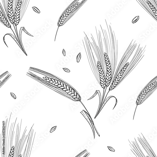 Detailed hand drawn black and white illustration seamless pattern of rye ear, leaf, grain, agriculture. sketch. Vector. Elements in graphic style label, card, sticker, menu, package