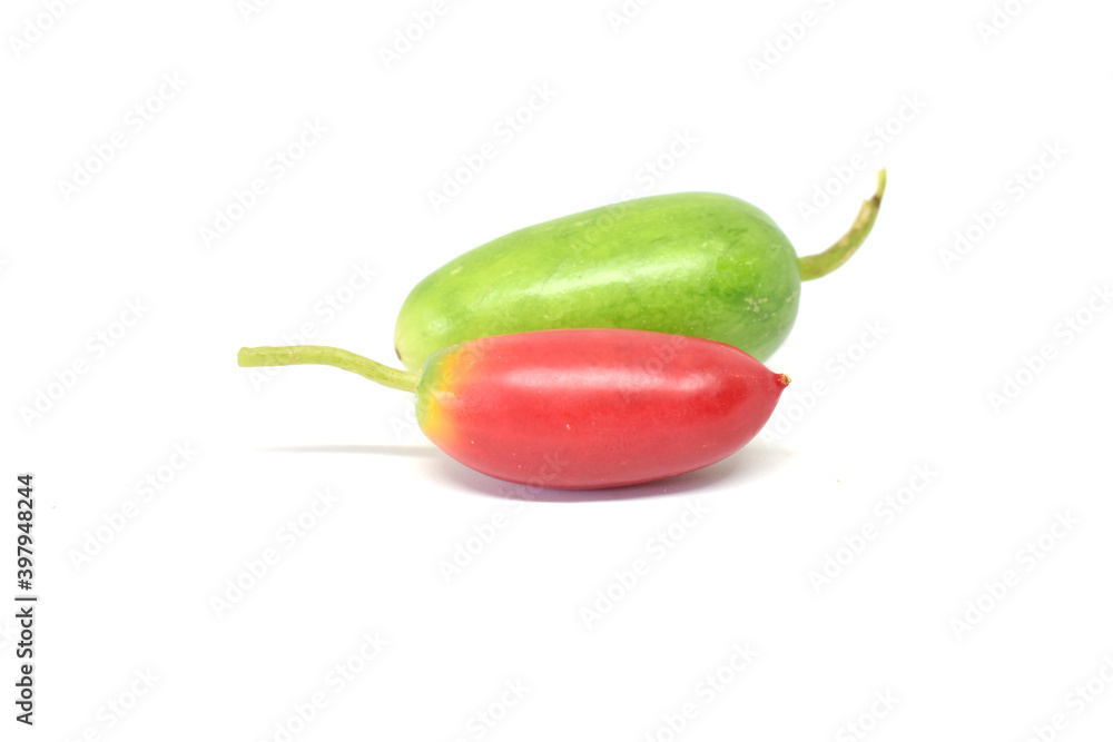 Gourd fruit (quot) on a white background is a popular local vegetable that uses the tops and leaves to cook a variety of dishes. Gourd fruit (quot) on a white background is a popular local vegetable that uses the tops and leaves to cook a variety of dishes.