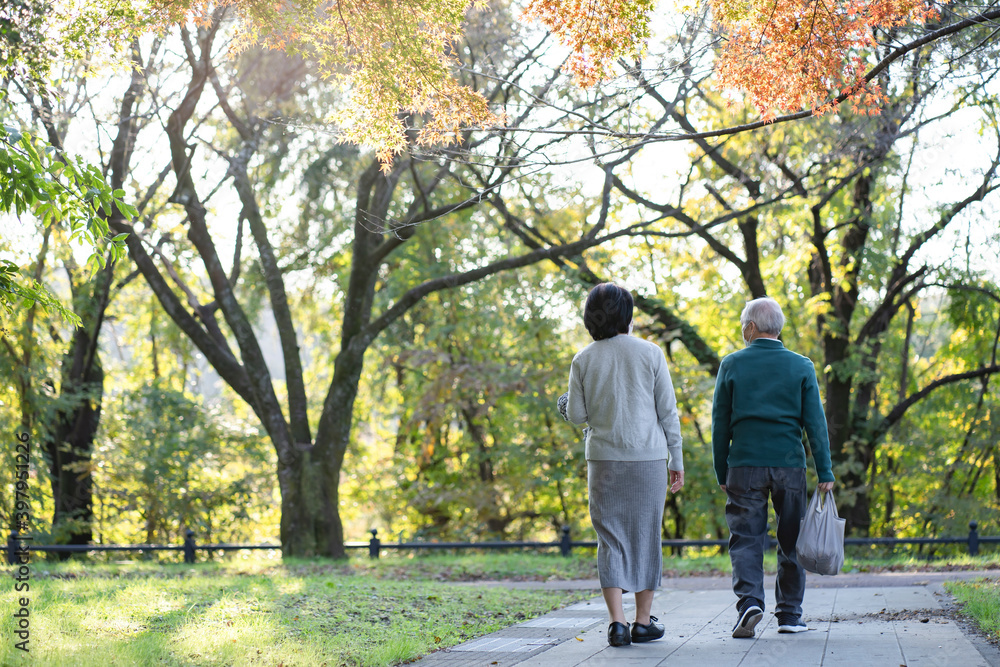 Fototapeta premium 公園を散歩するシニア夫婦の後ろ姿