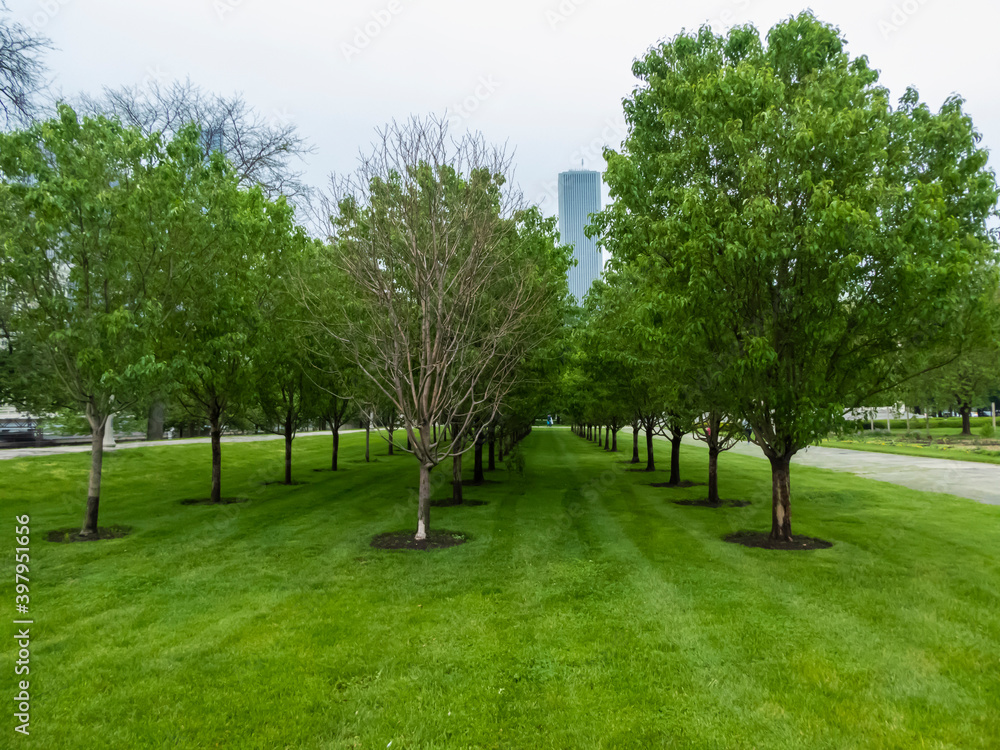 Fototapeta premium Beautiful trees and grass in a natural park in Chicago, US