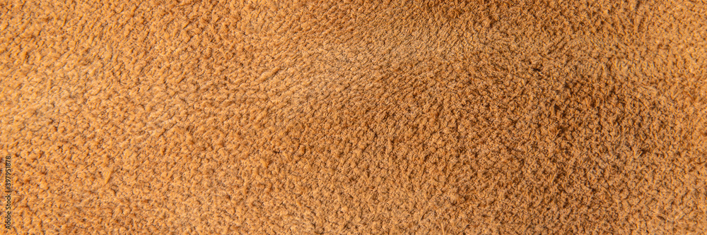 leather grunge background: an old piece of tough camel skin, with scuffs, spots, scars leather grunge background: an old piece of tough camel skin, with scuffs, spots, scars