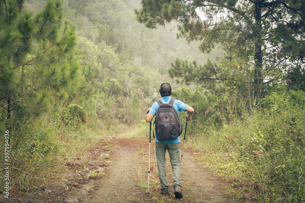 rear back view of one adult young man with back pack and sticks trekking in a beautiful tropical landscape in dominican republic