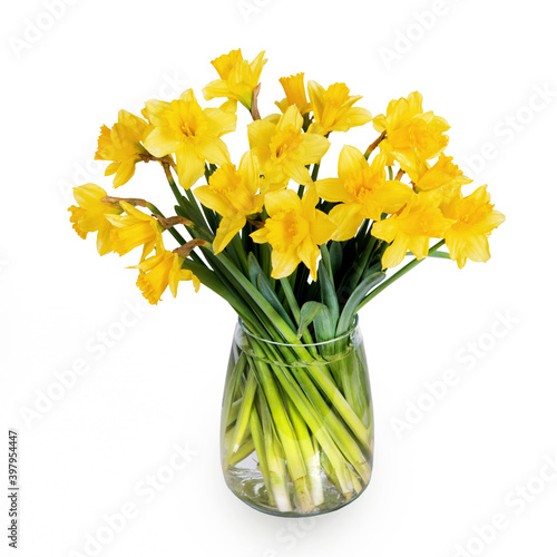 Fototapeta Naklejka Na Ścianę i Meble -  Daffodils in a vase on a white isolated