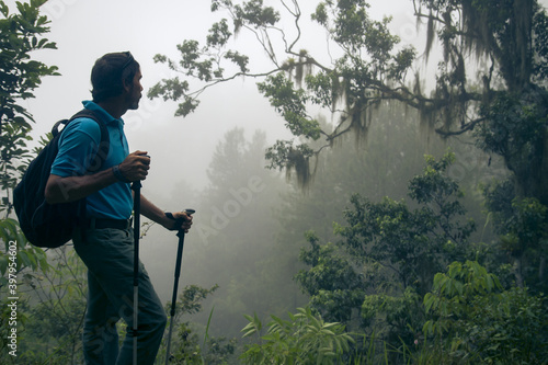 side view of one adult man taking a walk or trekking with sticks and back pack in a rainforest nature landscape