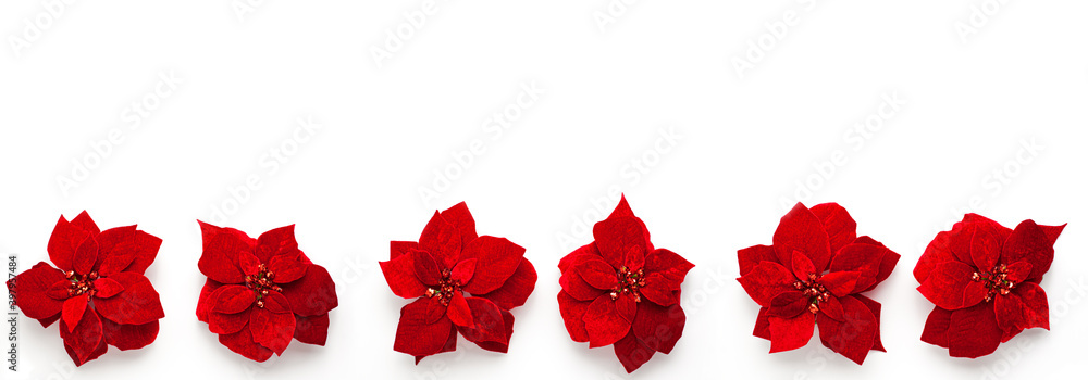 Artificial red velvet Christmas flowers Poinsettia banner with beautiful sequins in the center spinning around its axis isolated on white background from above. Flat lay holidays with copy space Artificial red velvet Christmas flowers Poinsettia banner with beautiful sequins in the center spinning around its axis isolated on white background from above. Flat lay holidays with copy space