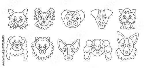 Fototapeta Naklejka Na Ścianę i Meble -  Collection of vector icons of portraits of small dogs drawn in the style of doodles. A set of cute toy dog logos. Vector illustration in cartoon style. Coloring pages for children and adults. Outline