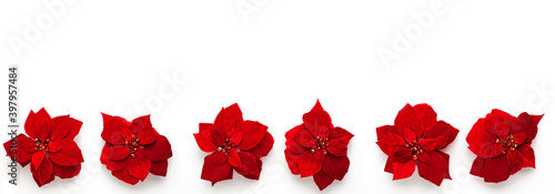 Artificial red velvet Christmas flowers Poinsettia banner with beautiful sequins in the center spinning around its axis isolated on white background from above. Flat lay holidays with copy space