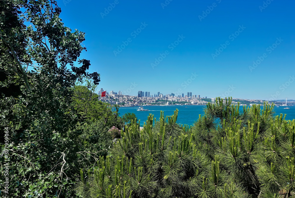A view of Istanbul framed by branches of green coniferous and deciduous trees. You can see the Bosphorus and sailing ships. City buildings and skyscrapers against the blue sky. Turkey. Summer day