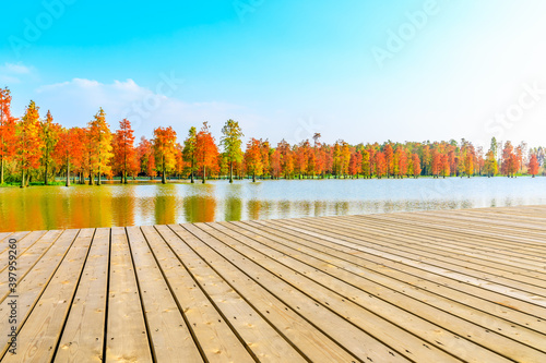 Wooden square and colorful forest natural landscape in autumn season.