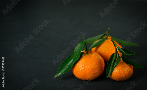 Three Fresh mandarin citrus fruits on black background. Copy space