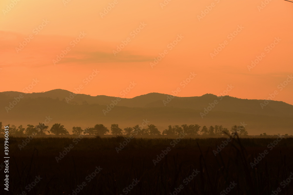 sunrise behind a dense forest area followed by mountains.	