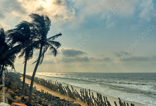 Scenic landscape of Bay of Bengal and windy coconut trees at Shankarpur sea beach. Shankarpur is a small fishing village and popular beach travel destination in West Bengal. photo