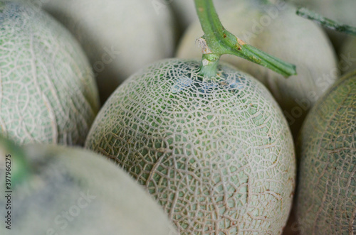 Close up to harvested melons in a bowl. Ready to ship. メロン