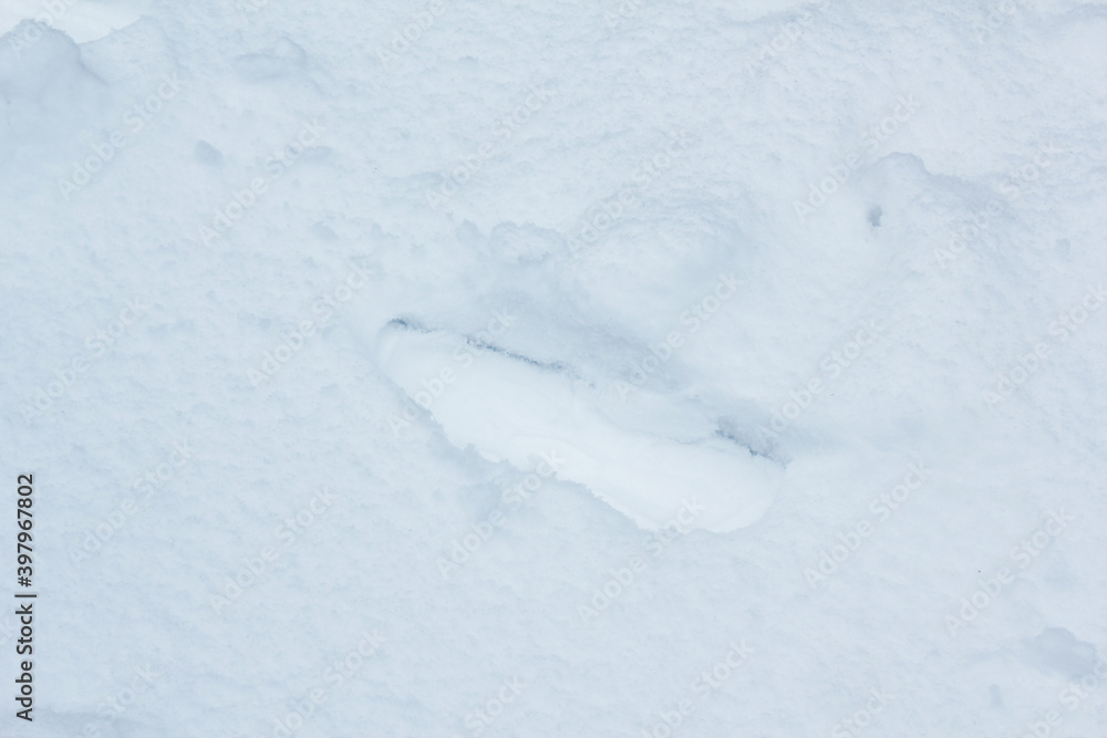 Footprint In snow filed
