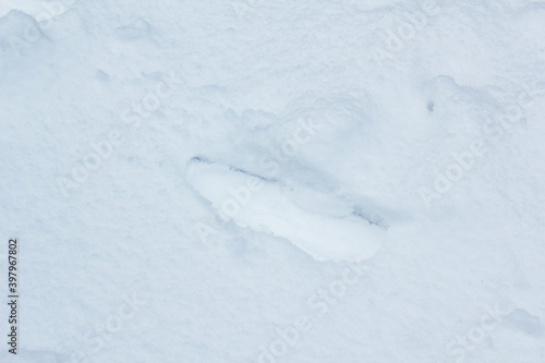 Footprint In snow filed © binimin