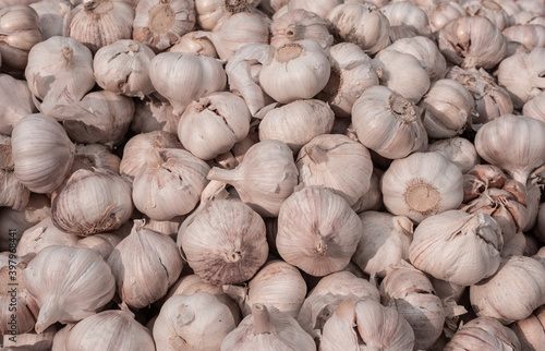 full garlic on display