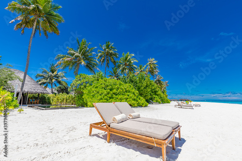 Fototapeta Naklejka Na Ścianę i Meble -  Beautiful tropical beach banner. White sand and coco palms travel tourism wide panorama background concept. Amazing beach landscape. Boost up color process. Luxury island resort vacation or holiday