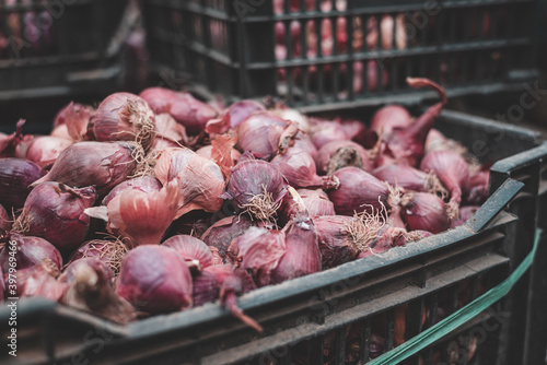 onions on display in basket photo