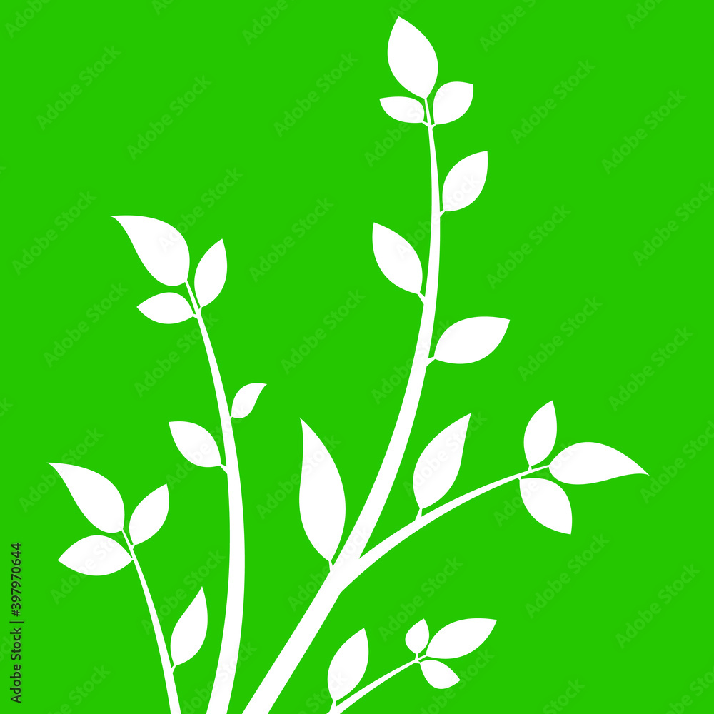 Obraz premium White branch with leaves on a green background.