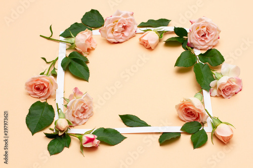 small white and pink flowers of a rose with green young leaves
