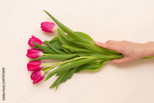 man holds with hand a bouquet of tender fresh red tulips