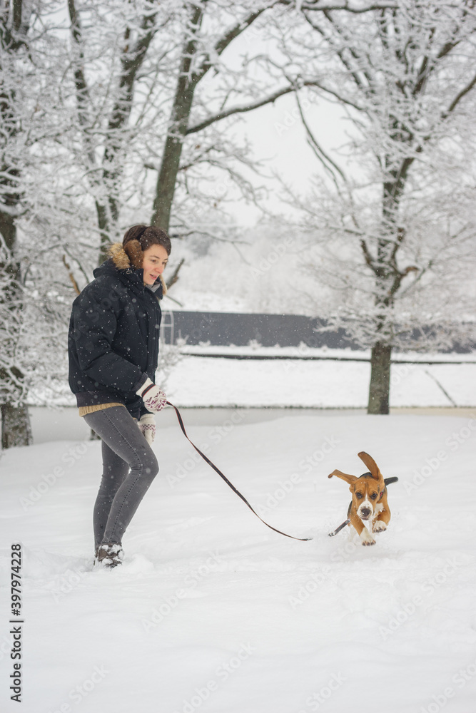 beautiful girl with short hair is walking on a warm winter day with her pet beagle puppy beautiful girl with short hair is walking on a warm winter day with her pet beagle puppy