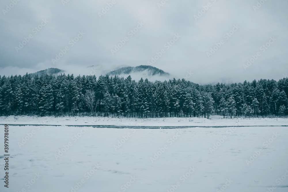 Snow-covered spruces and pines at the foot of the mountain in frosty fog. Authentic winter landscape