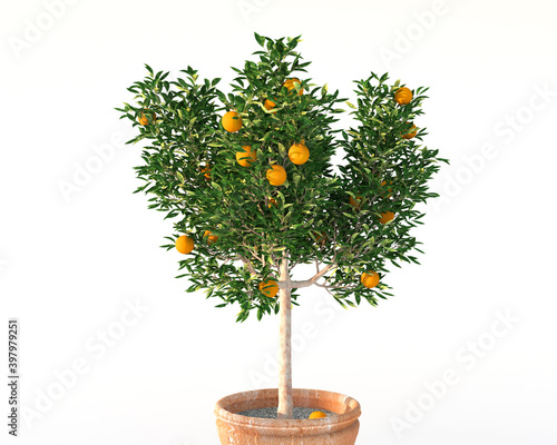 Orange tree in ceramic vase 3d rendering