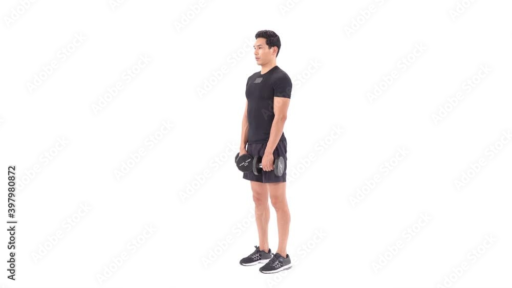 The Front of Shoulders Workout : Dumbbell Front Raise Exercise Guide The Front of Shoulders Workout : Dumbbell Front Raise Exercise Guide