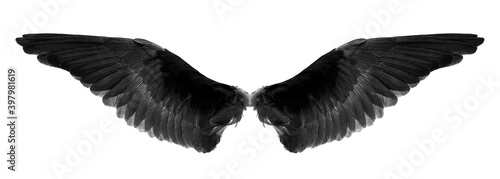 black wings on a white background,isolated
