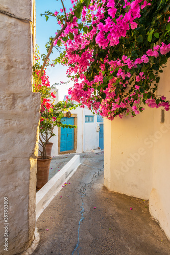 Fototapeta Naklejka Na Ścianę i Meble -  Colorful street of Skala Village in Patmos Island