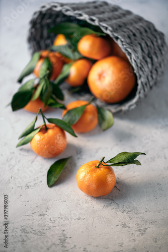 Tangerines (oranges, tangerines, clementines, citrus fruits) with leaves in a basket on a gray stone background, copy space © strekozza77