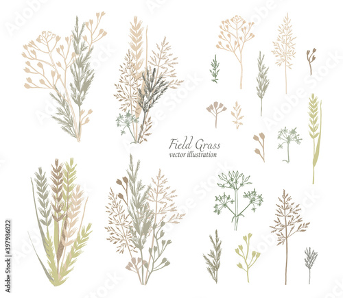 botanical illustration. Different types of field herbs green and brown shades of flowers. Ready compositions bouquets of herbs. hand drawing. Vector set of elements for your design