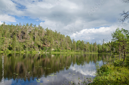 Fototapeta Naklejka Na Ścianę i Meble -  View from water on the Upper Pulongskoye Lake in Karelia (Russia)